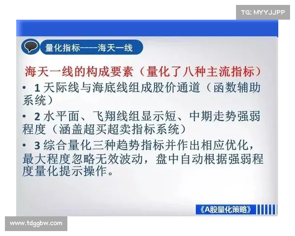 全面掌握曼联弗兰关键技能高效实战运用技巧深度解析权威指南终极